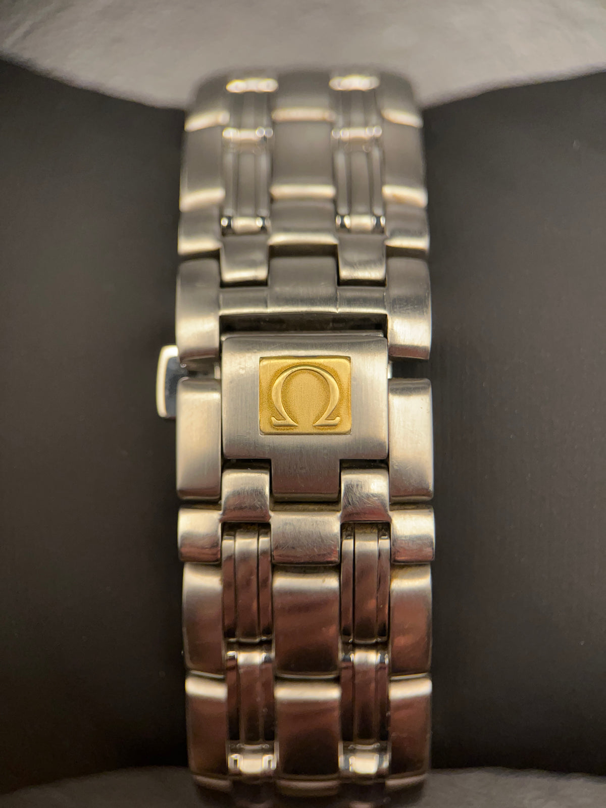 F. Omega Seamaster 120M